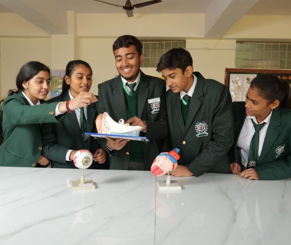 Teaching Methodology Image